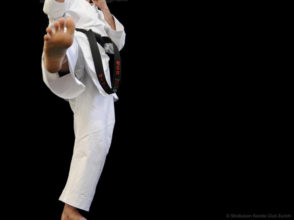 Okinawa Karate Zürich