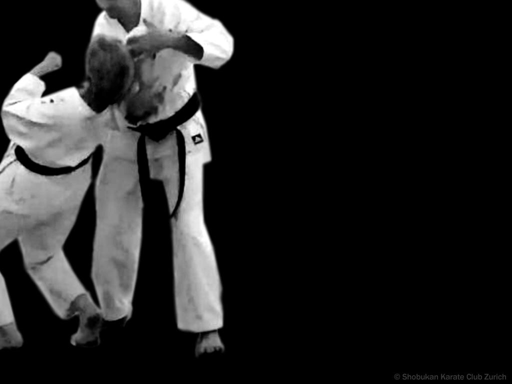 Kumite Karate Kampf